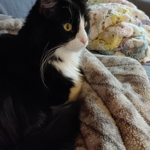 Lazy TV day๐๐บ ๐ - Picture 3 of 16